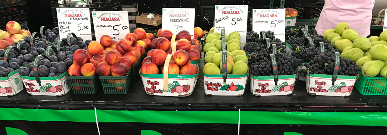 Colourful fresh produce displayed such as apples, peaches, oranges, grapes and more