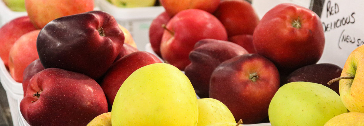 Colourful fresh produce displayed such as apples, peaches, oranges, grapes and more