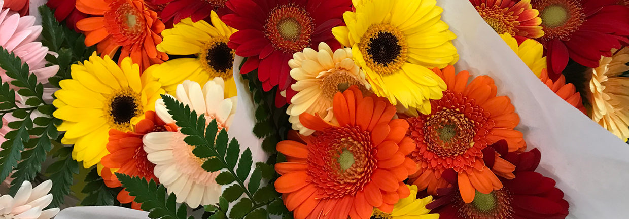 Display of fresh flowers