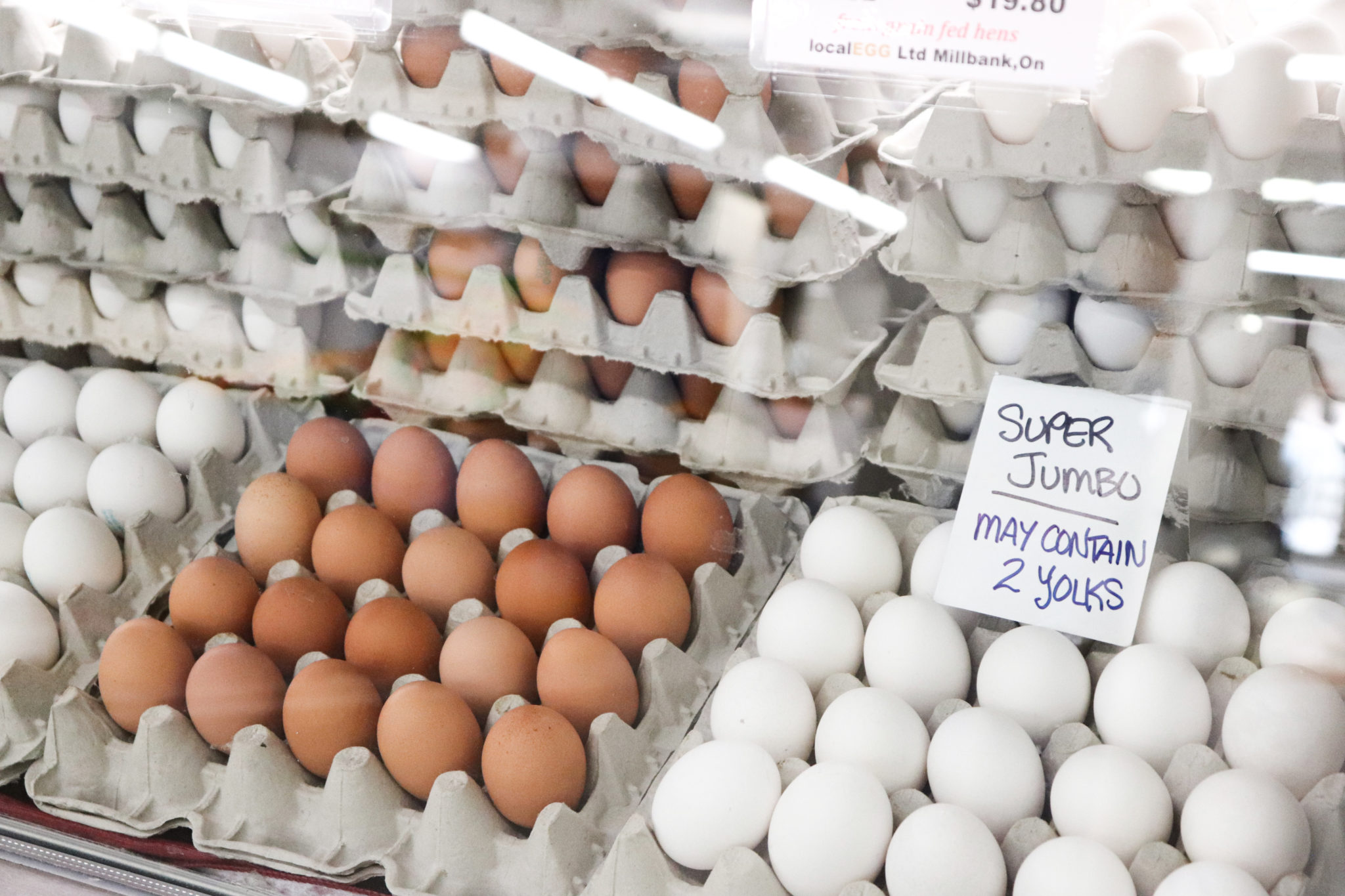 The Local Egg - Hamilton Farmers' Market