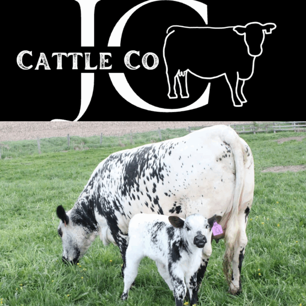 JC Cattle Co speckle beef