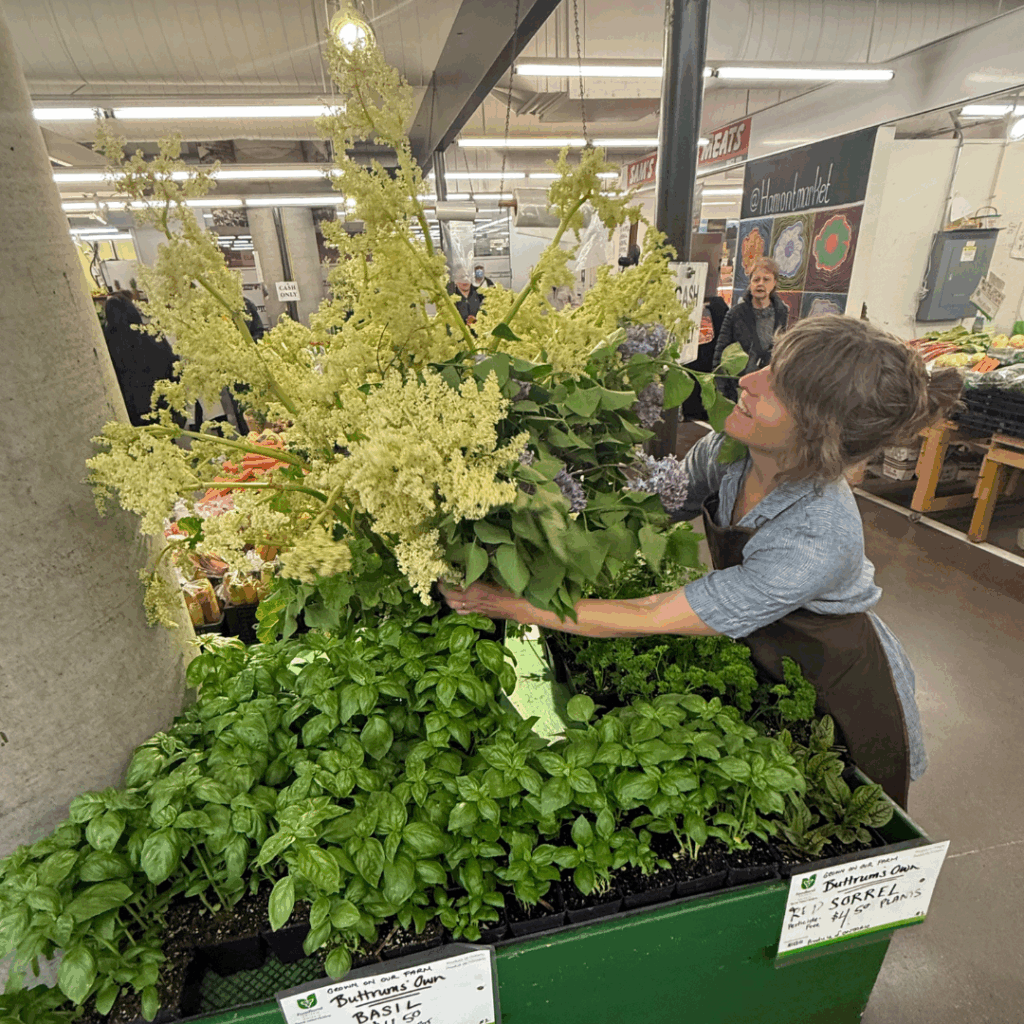 Agriculture at the market