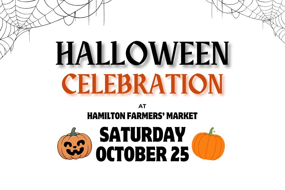 Halloween Celebration Halloween Celebration