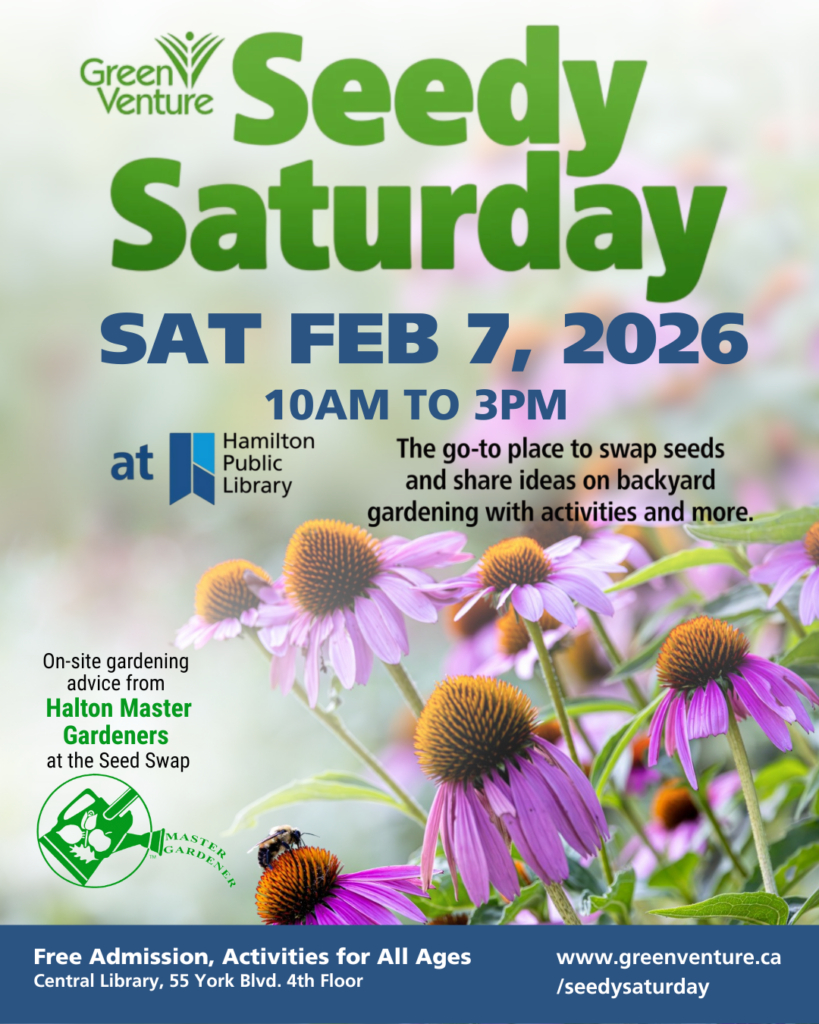 Seedy Saturday Poster