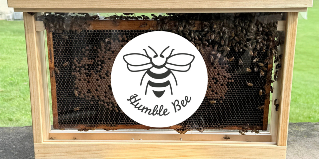 Market Kids Club 2026 - bee workshop